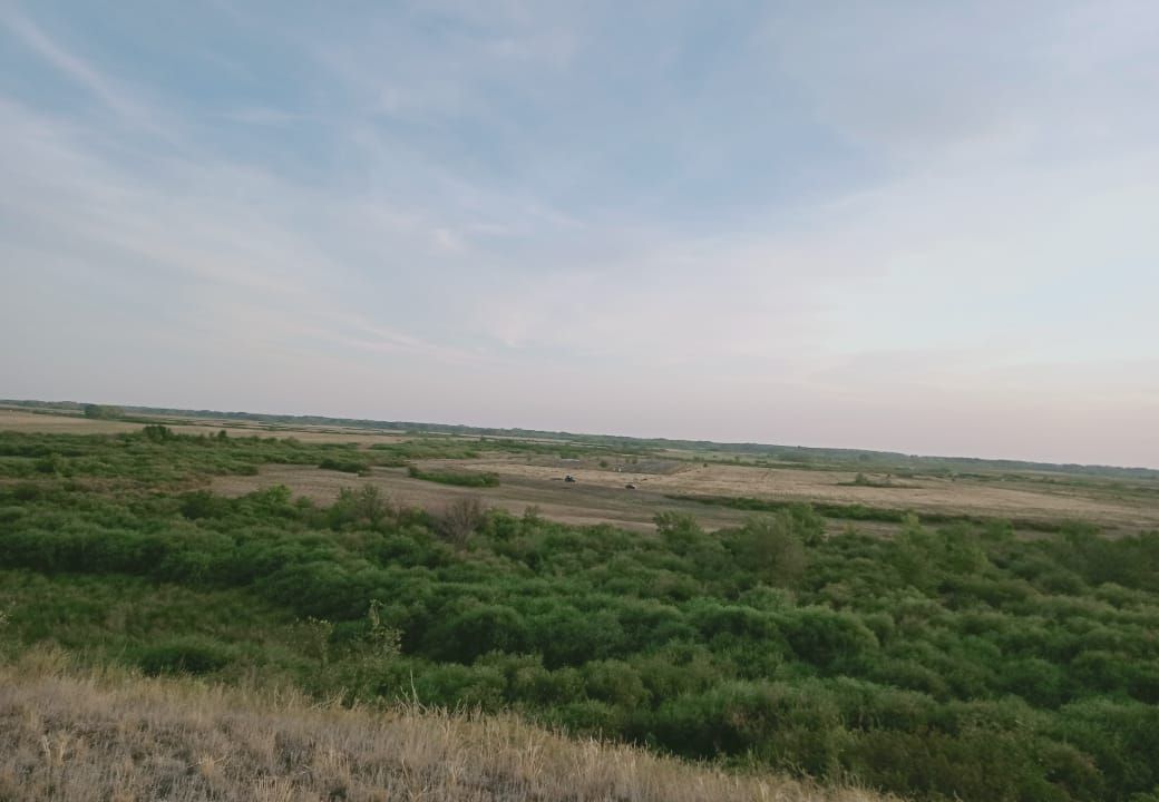 земля р-н Оренбургский п Чебеньки М-5, подъезд к МАПП Орск фото 3