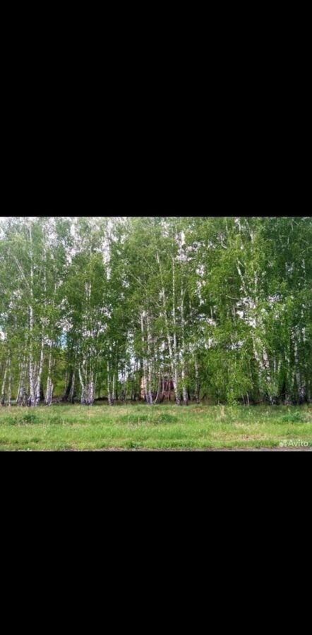 земля р-н Кетовский ДПК коттеджного типа Лесной, Курган фото 2
