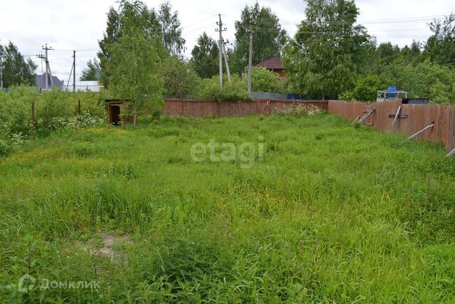 городской округ Калининград, СТ Космос фото