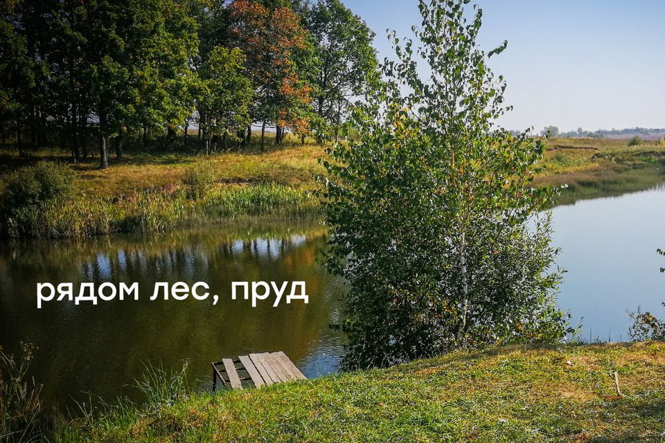земля р-н Заокский с Острецово дачный посёлок Богатырское фото 7