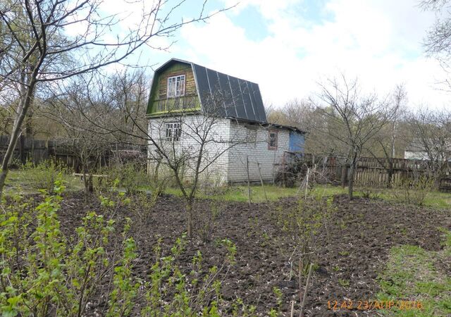 г Брянск садоводческое общество Заречное, 376 фото