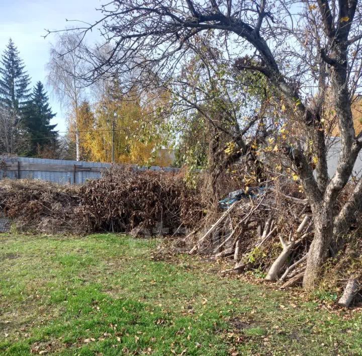 земля р-н Белгородский с Таврово ул Садовая Тавровское с/пос фото 4