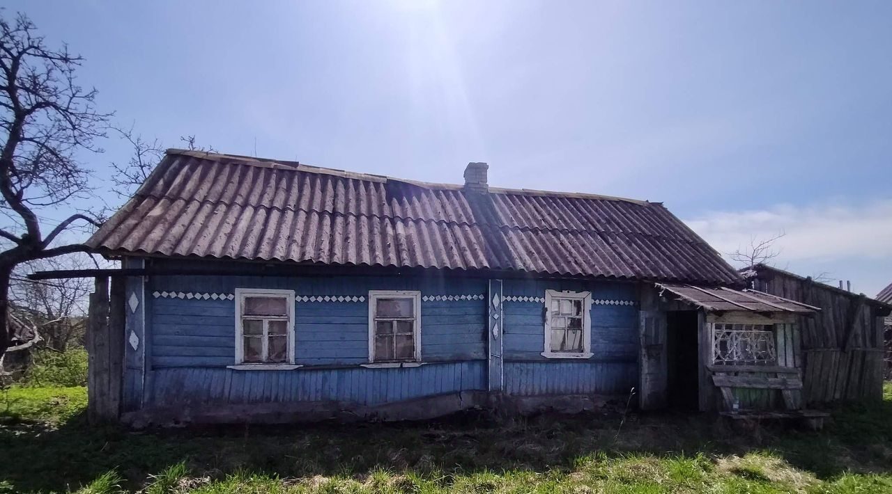 дом р-н Псковский д Сабижи Торошинская волость фото 1