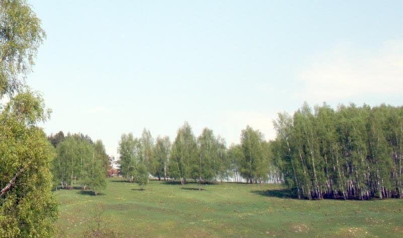 земля городской округ Кашира 62, д Малеево, дп. Малеевские Просторы-2 фото 1