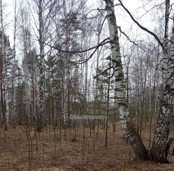 земля р-н Прокопьевский п Большой Керлегеш пер Лесной фото 1