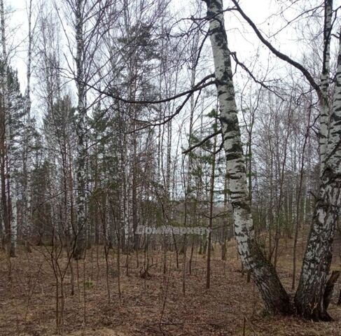 земля п Большой Керлегеш пер Лесной фото