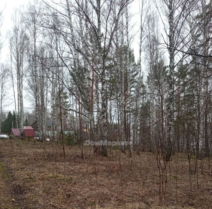 земля р-н Прокопьевский п Большой Керлегеш пер Лесной фото 3