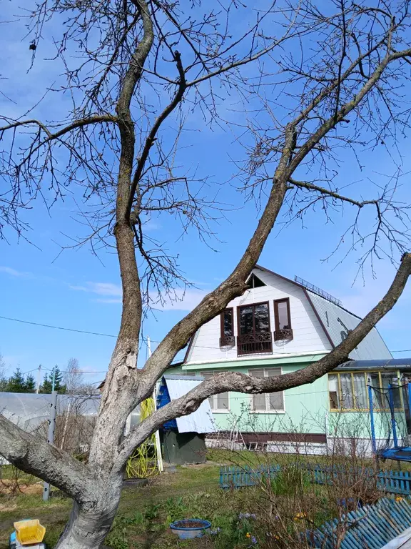 дом территория, 66, Фрязино, Борисовка фото 1