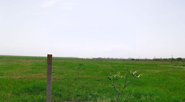 земля с Пруды ул Крымская 7 фото