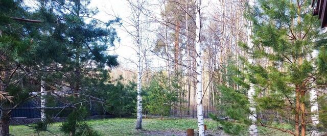 земля с пос, пер. Лесной, Запорожское фото