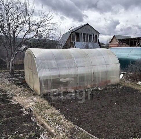 снт Светлый Миасский городской округ фото