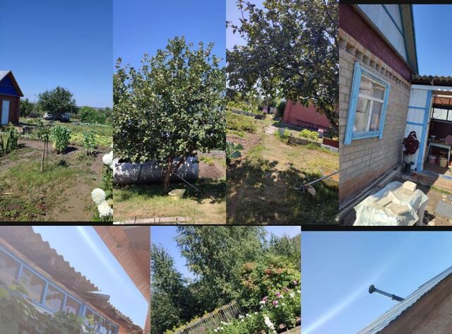 Купить Дом В Снт Василек