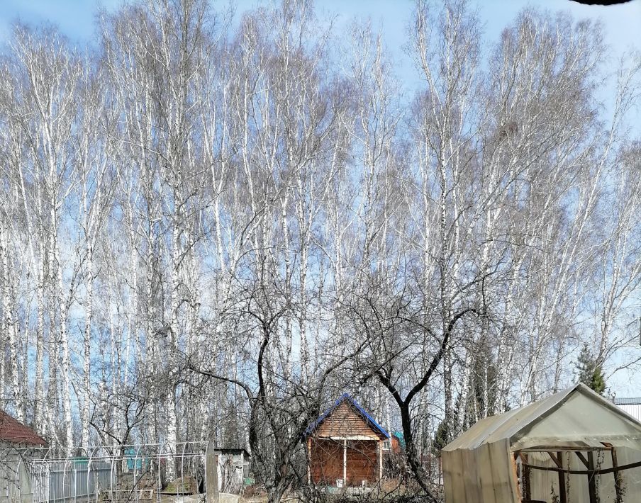 дом г Новосибирск Берёзовая роща снт Садовод-Мичуринец фото 4