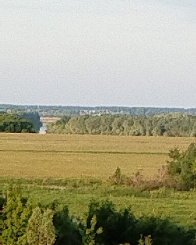 Вышгородское сельское поселение, Мурмино фото