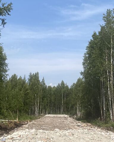 Всеволожское городское поселение, Всеволожск фото