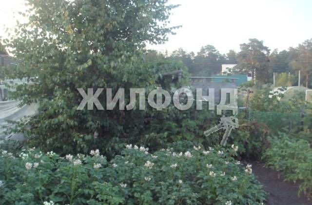 земля г Новосибирск территория садоводческого товарищества Ранняя заря фото 8
