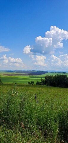 земля д Медведки Извековское сельское поселение, Новодугино фото