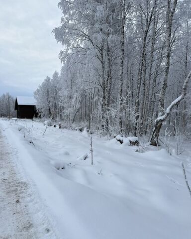 дачное некоммерческое товарищество Алмаз, Архангельск фото