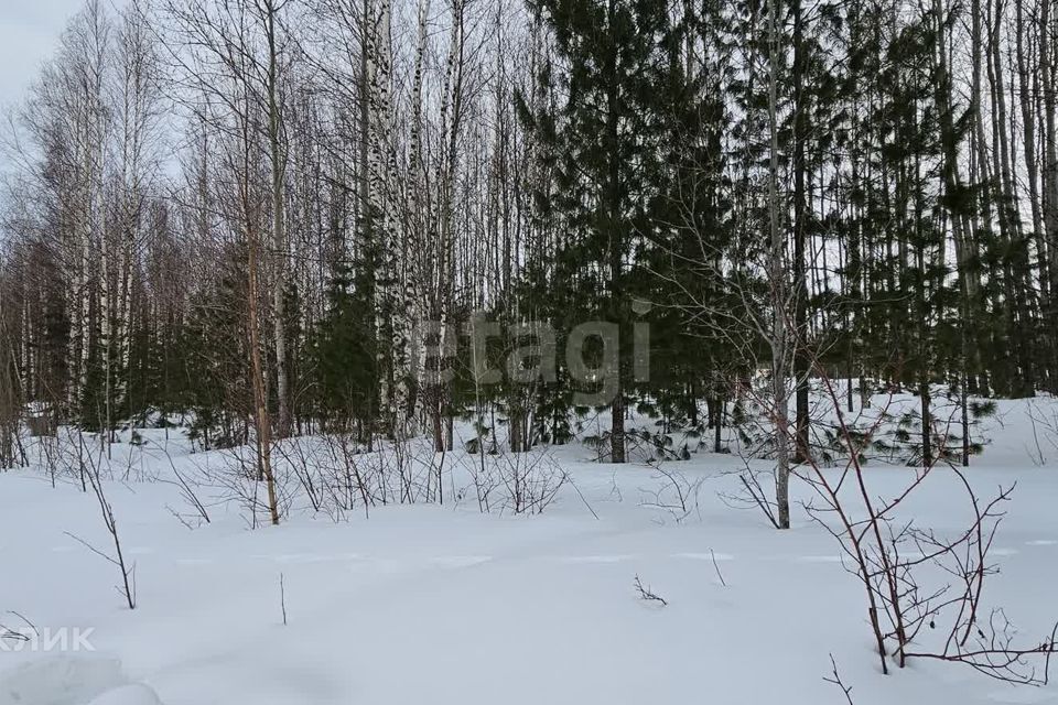 земля г Ханты-Мансийск садово-огородническое товарищество Ясная Поляна, городской округ Ханты-Мансийск фото 3