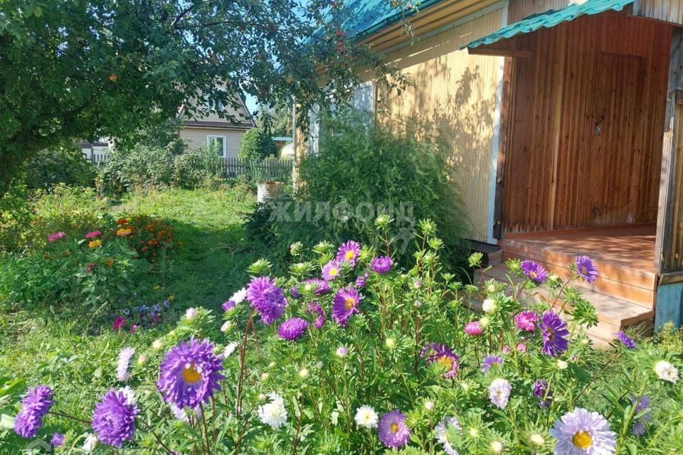 дом г Новосибирск садовое некоммерческое товарищество Темп, городской округ Новосибирск фото 2