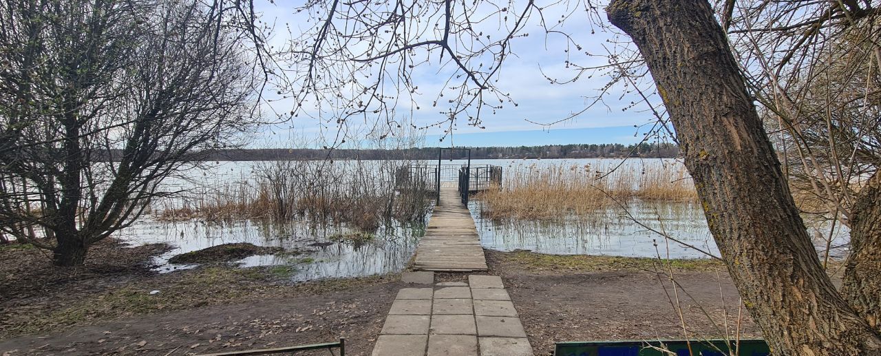 общепит, отдых городской округ Богородский г Электроугли Бисеровское ш., 47, Балашиха фото 7