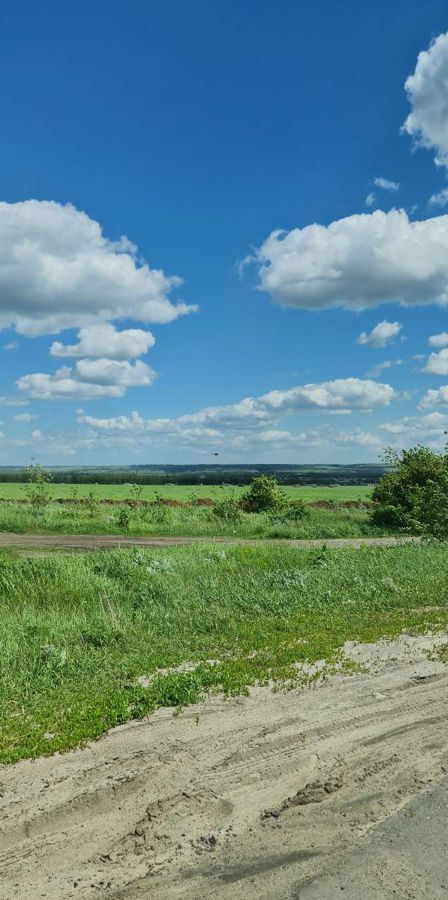 земля р-н Острогожский г Острогожск ул Ленина фото 1