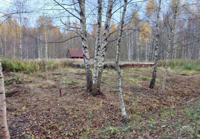 ТиНАО № 338, Московская область, городской округ Наро-Фоминский, Апрелевка фото