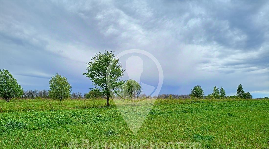 земля р-н Рязанский с Вышетравино Окское с пос фото 8
