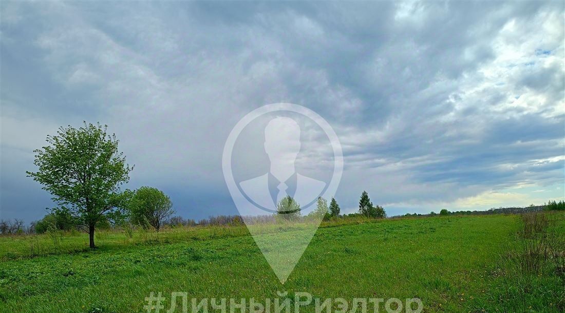 земля р-н Рязанский с Вышетравино Окское с пос фото 9