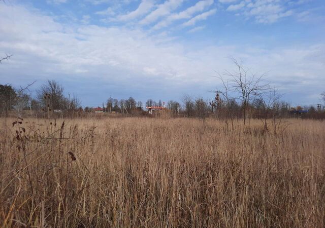 земля с Красногвардейское фото