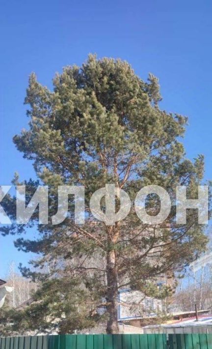 земля г Новосибирск Золотая Нива снт Ветеран фото 6