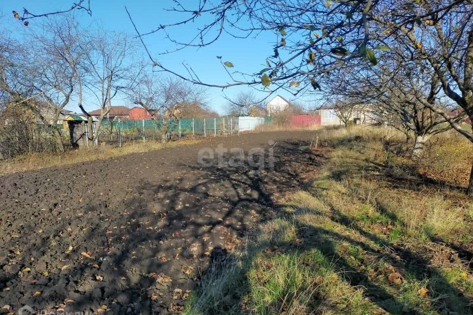 земля р-н Белгородский с Таврово садоводческое товарищество Опёнок фото 7
