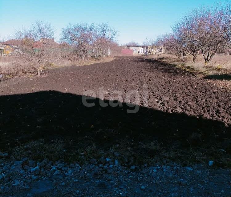 земля р-н Белгородский с Таврово садоводческое товарищество Опёнок фото 5