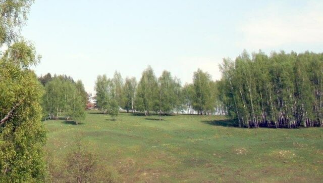 земля коттеджный посёлок Малеевские просторы, 18 фото