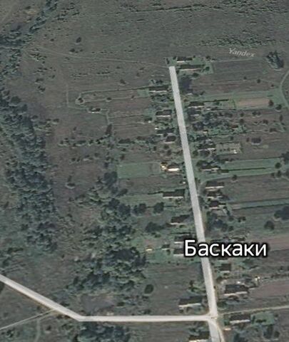 д Баскаки Рамешки фото