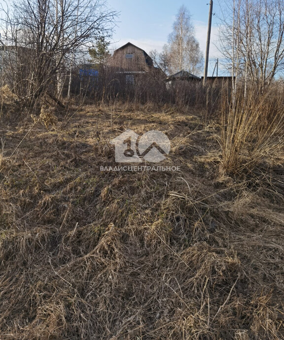 земля г Новосибирск Золотая Нива ул Бугринская 33 НСТ Ветеран фото 4