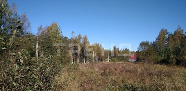 Кирпичное, Красносельское сельское поселение фото