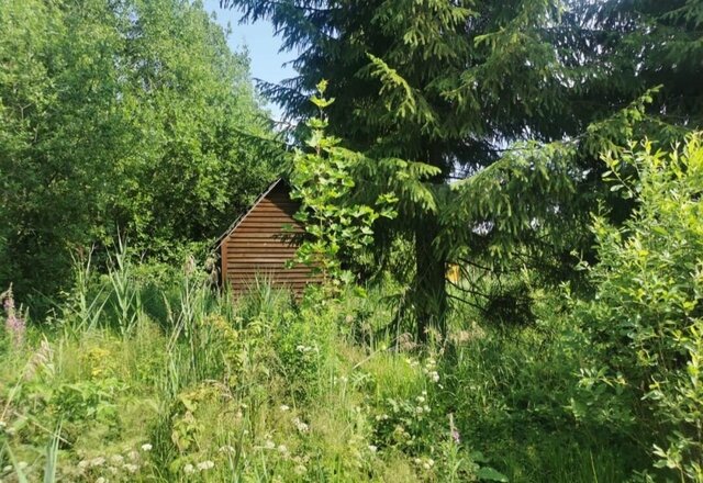 Лисинское сельское поселение, садоводческий массив Восточное Радофинниково, садоводческое некоммерческое товарищество Прибой, 2-я линия фото
