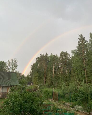 снт Турышево Запорожское сельское поселение, Васкелово фото