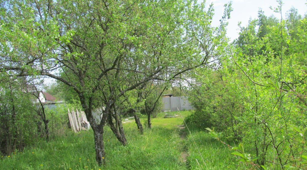 земля р-н Рязанский садоводческое товарищество, Окское с пос, Надежда фото 4