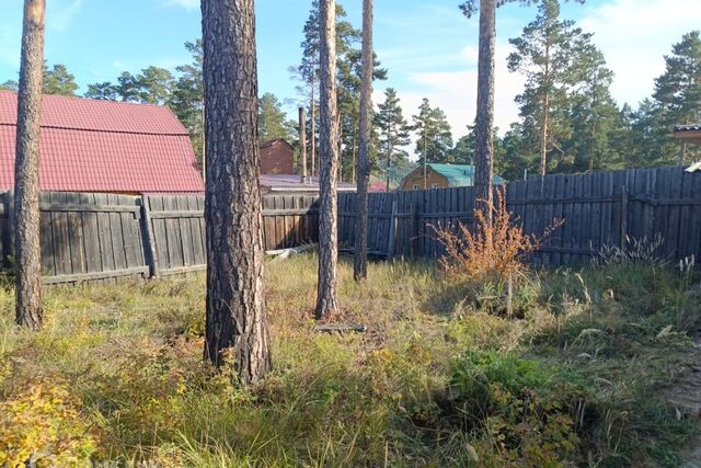 городской округ Улан-Удэ, 2, садоводческое некоммерческое товарищество Багульник фото