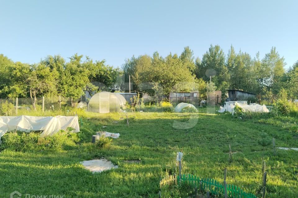 земля г Смоленск муниципальное образование Смоленск, садовое некоммерческое товарищество Меркурий фото 2