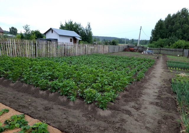 Ильиногорск, Володарский муниципальный округ фото