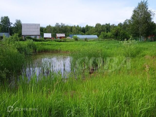 дом 283 городской округ Тюмень фото