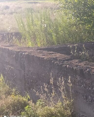 ст-ца Старопавловская Кировский муниципальный округ фото