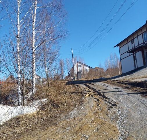 садовое некоммерческое товарищество Ключи-4 Восточные, Берёзовая улица фото