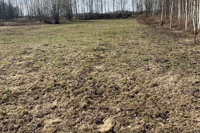 село Строчково, Юбилейная улица фото