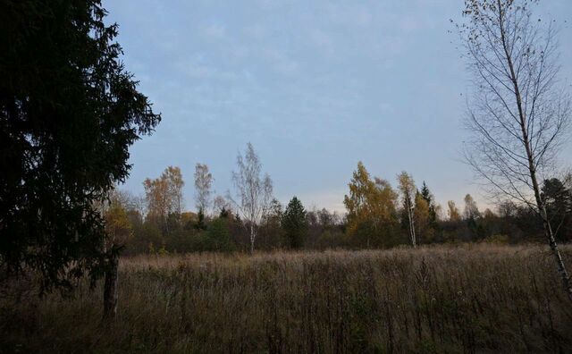 земля сельское поселение Деревня Гачки, Мосальск фото