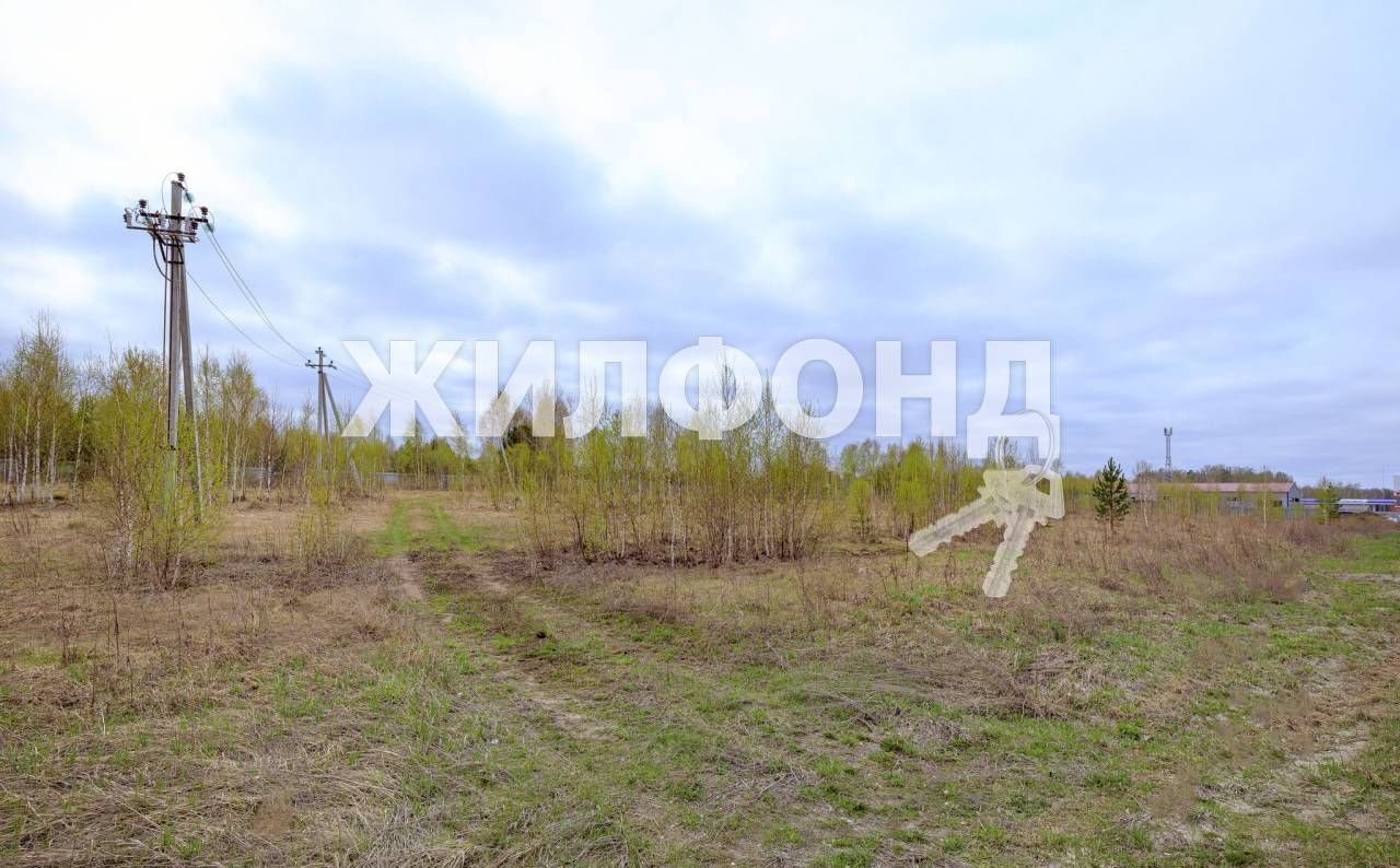 земля г Новосибирск ш Краснояровское фото 25