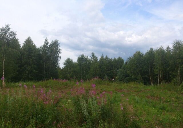 д. Мозгулино, Чкаловск фото